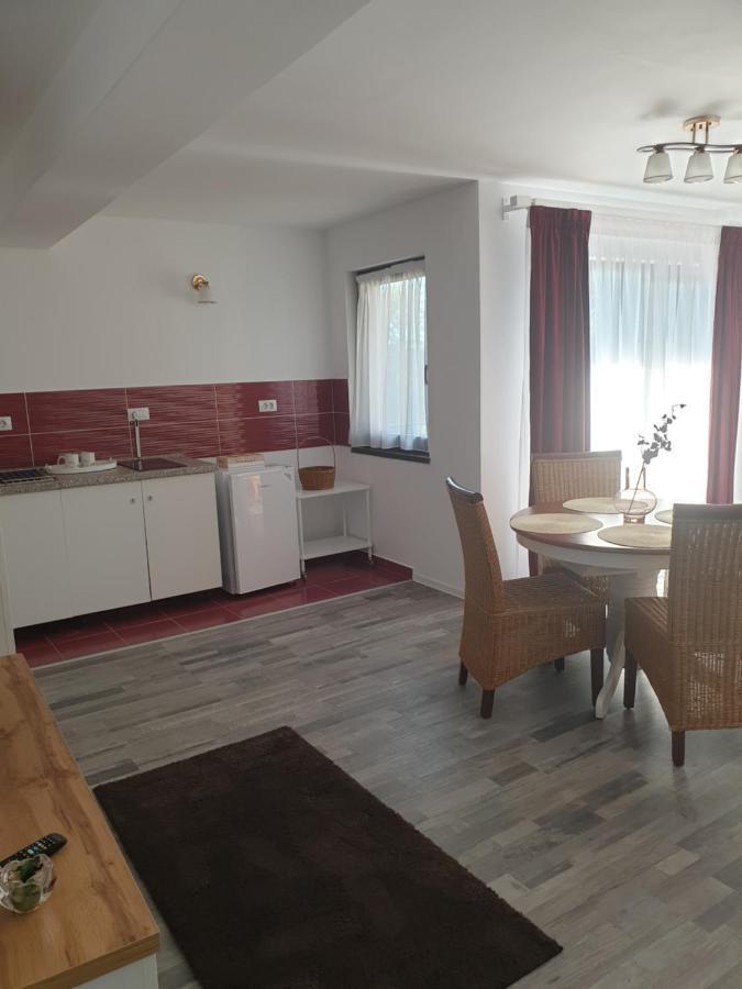 Hotel Casa Danei à Braşov Extérieur photo